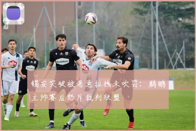 锡安突破被恶意拉拽未吹罚:鹈鹕主帅赛后怒斥裁判联盟